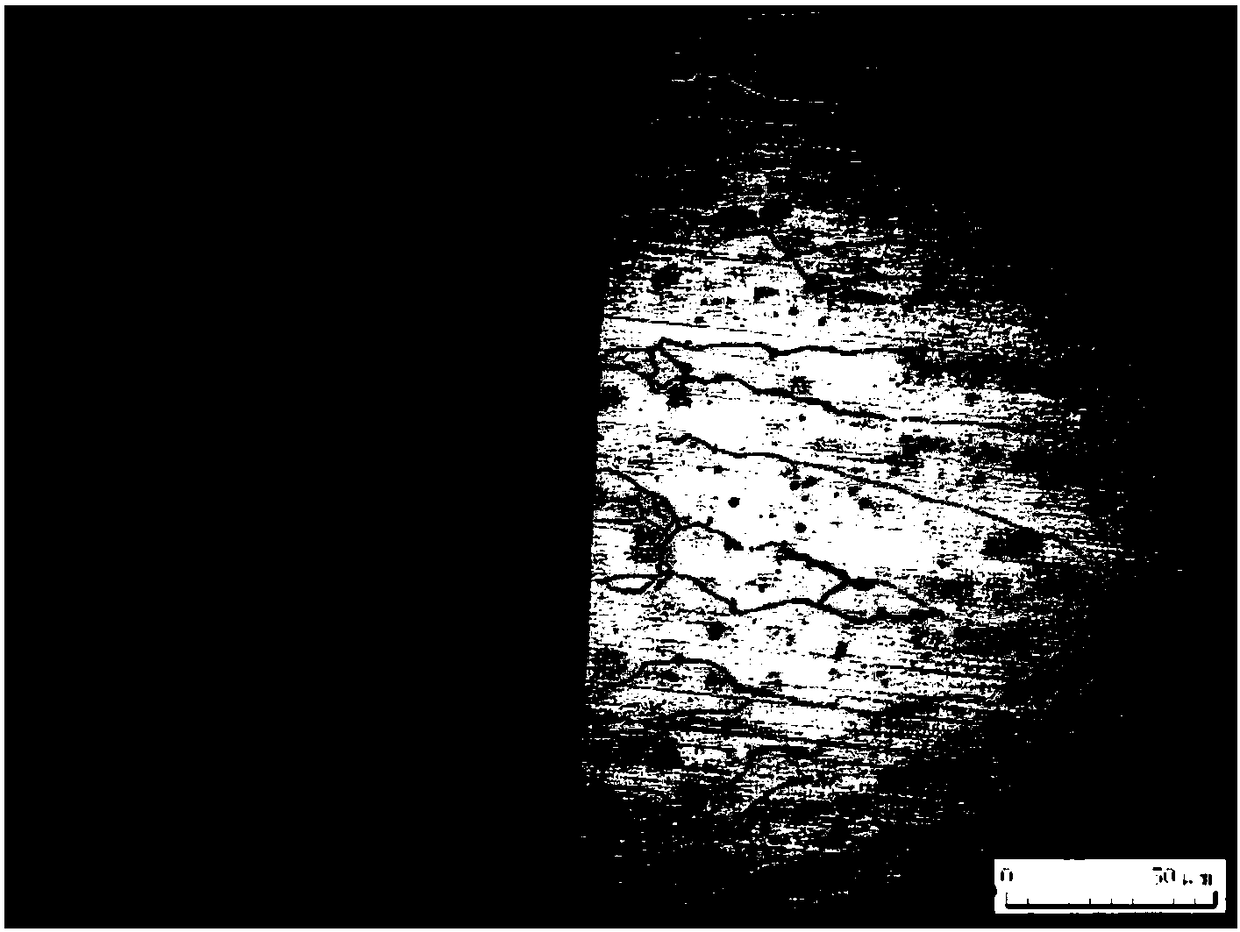 Display method of metallographic structure of austenitic and ferritic dissimilar steel joints