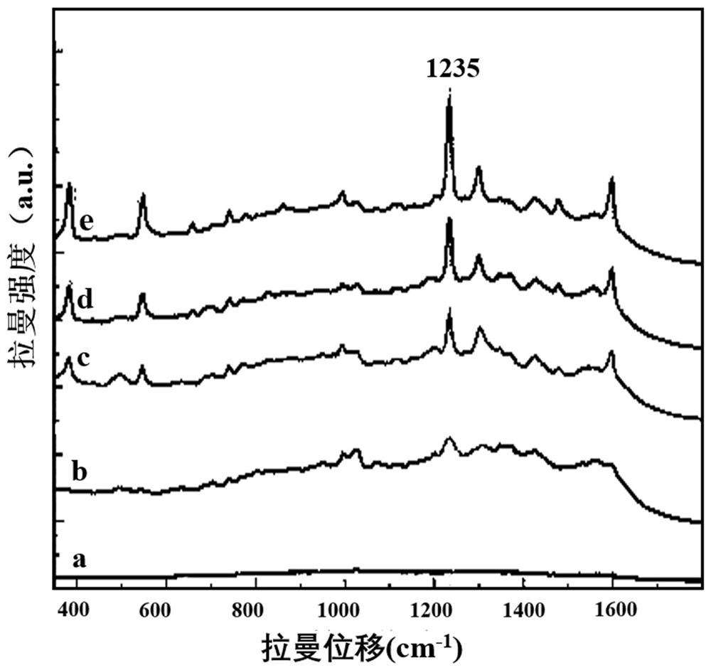 Assay methods for the detection of dioxins and PCBs