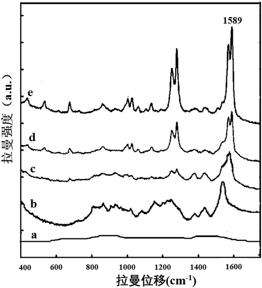 Assay methods for the detection of dioxins and PCBs