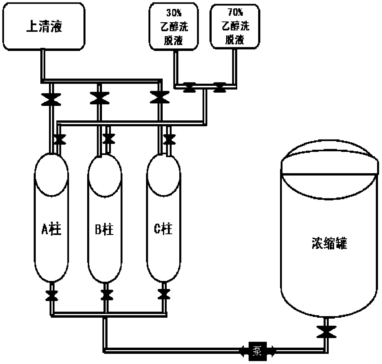 Extraction and purification method of total alkaloids of Sophora sophora