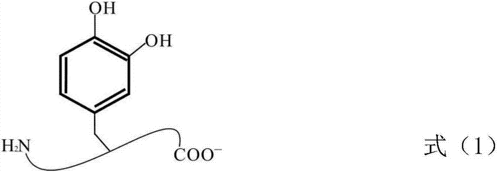 Bionic wall-solidifying agent for drilling fluid and preparation method thereof