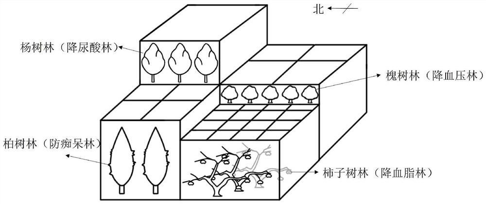 Control method and system for randomly filling unmanned aerial vehicle device based on ecological geographic algorithm