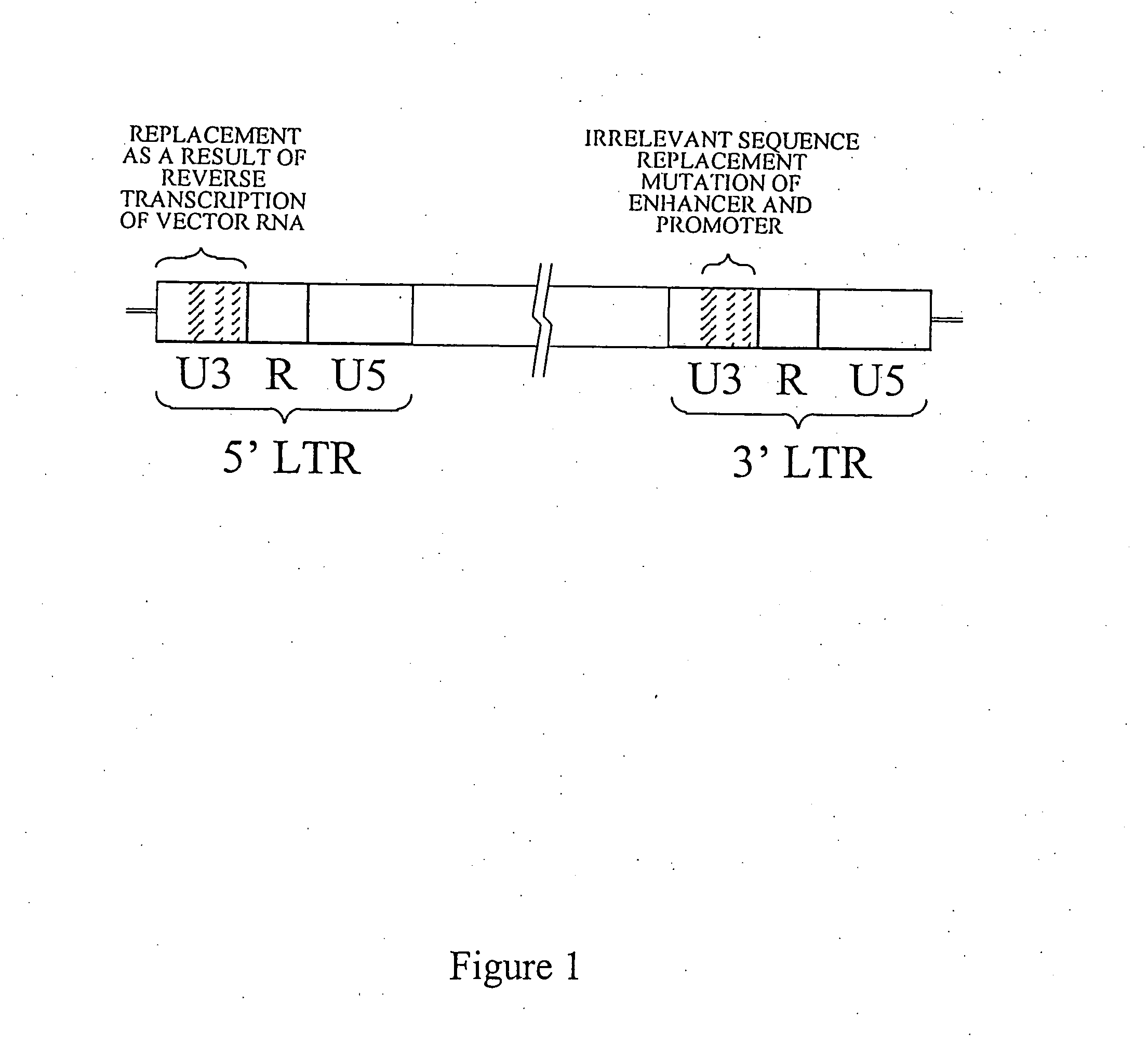 Vectors and viral vectors, and packaging cell lines for propagating same