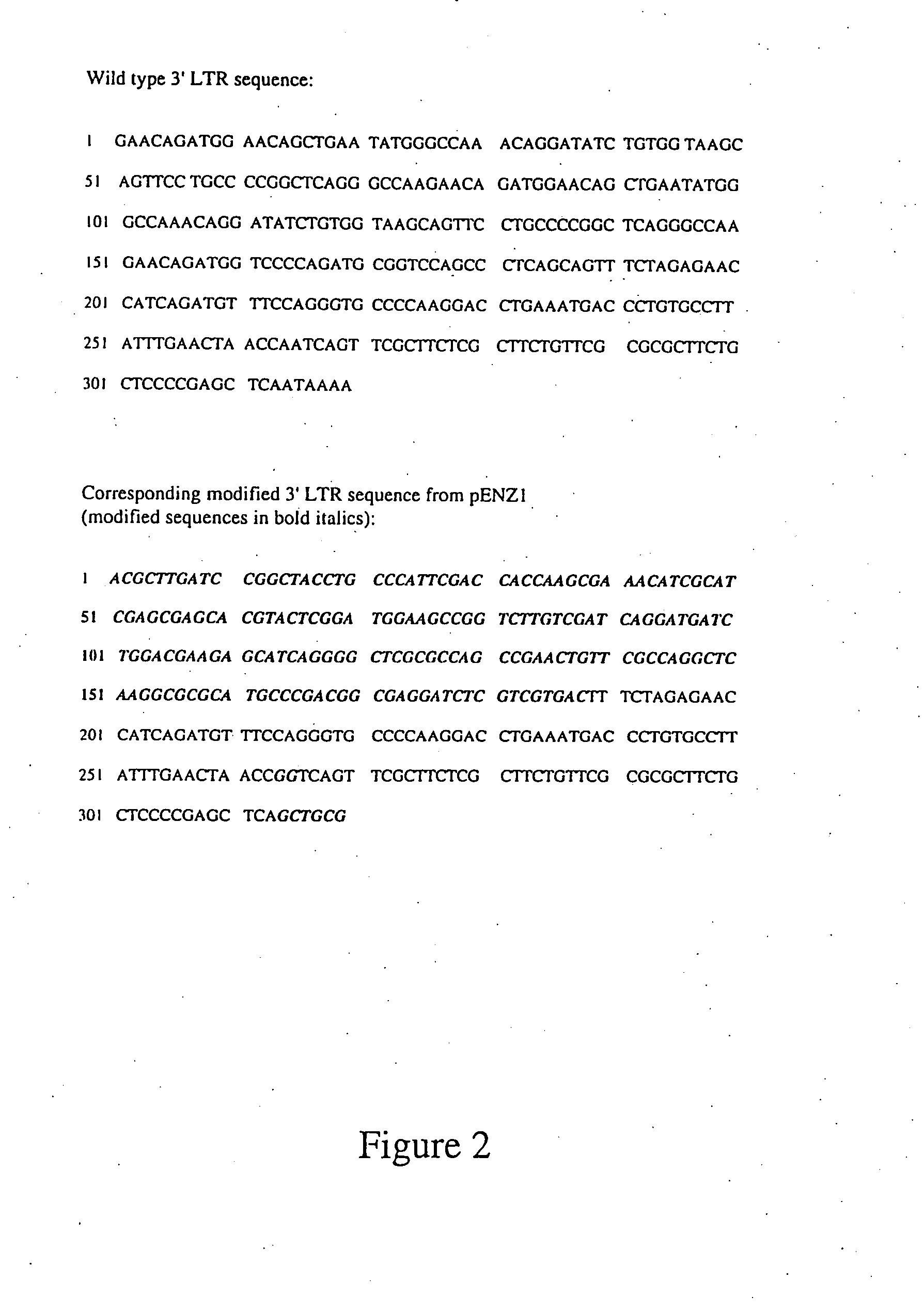 Vectors and viral vectors, and packaging cell lines for propagating same