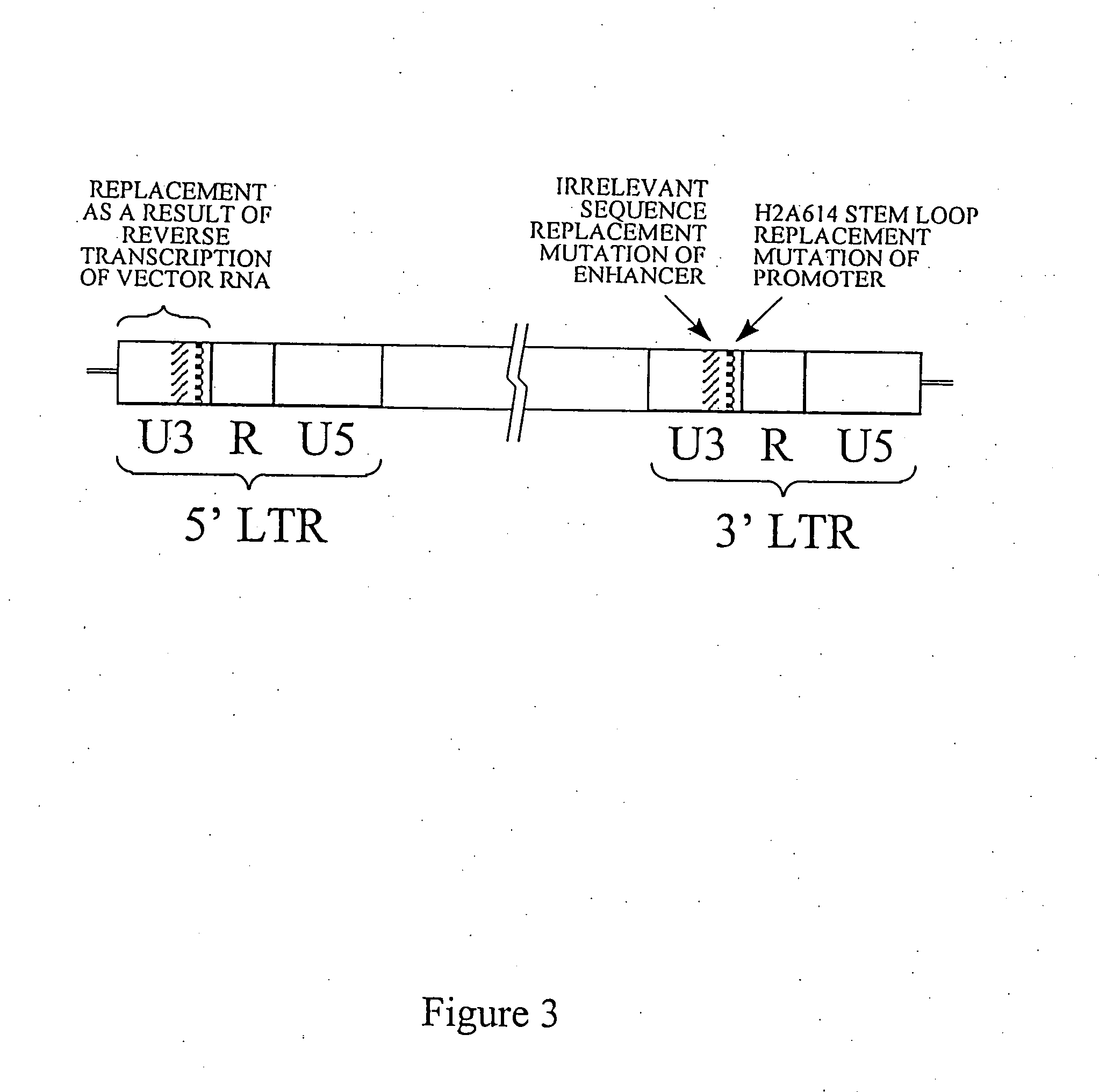 Vectors and viral vectors, and packaging cell lines for propagating same