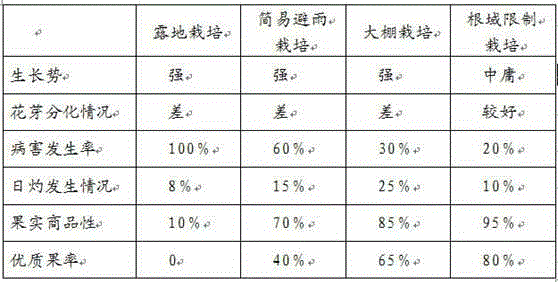 Grape root zone limiting cultivating method