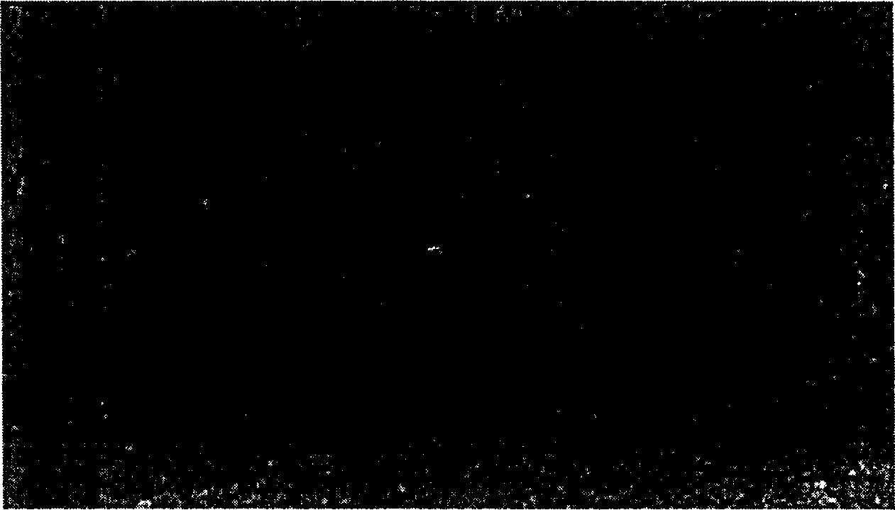 Process for preparing nano zinc oxide