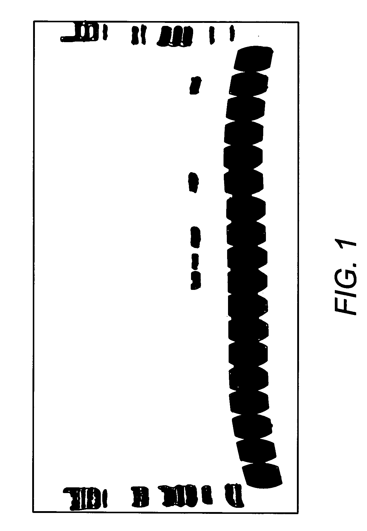 Combined lysis and PCR buffer