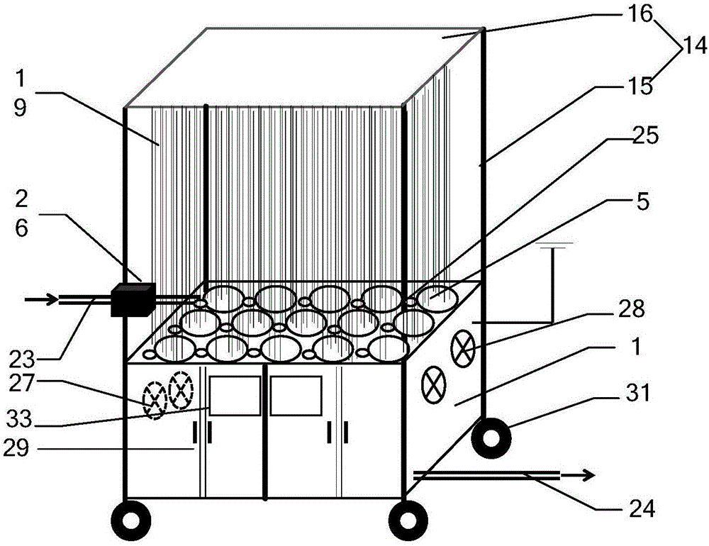 Aeroponic culture method for polygonatum odoratum