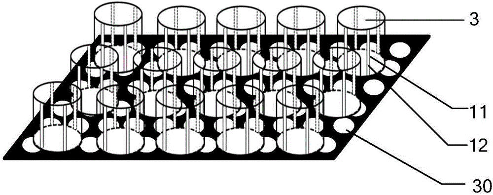 Aeroponic culture method for polygonatum odoratum