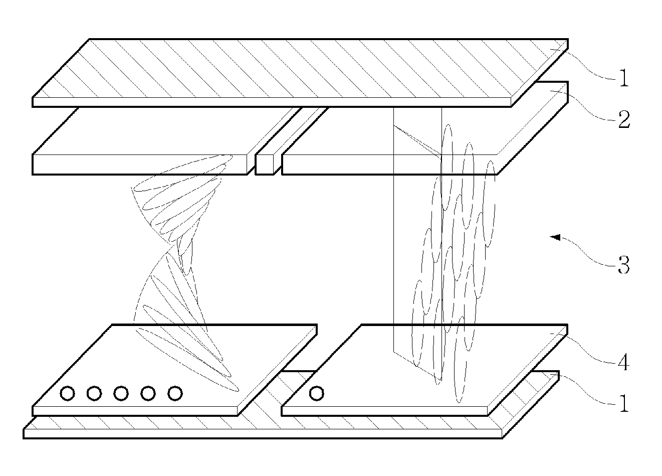 Three dimensional image display and manufacturing method thereof