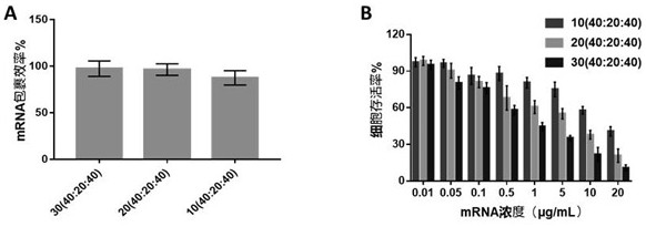 Anti-tumor vaccine with core-shell structure containing branched polymer and mRNA and application of anti-tumor vaccine