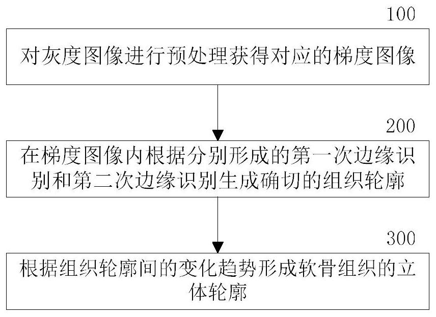 Cartilage recognition method and recognition system in medical imaging