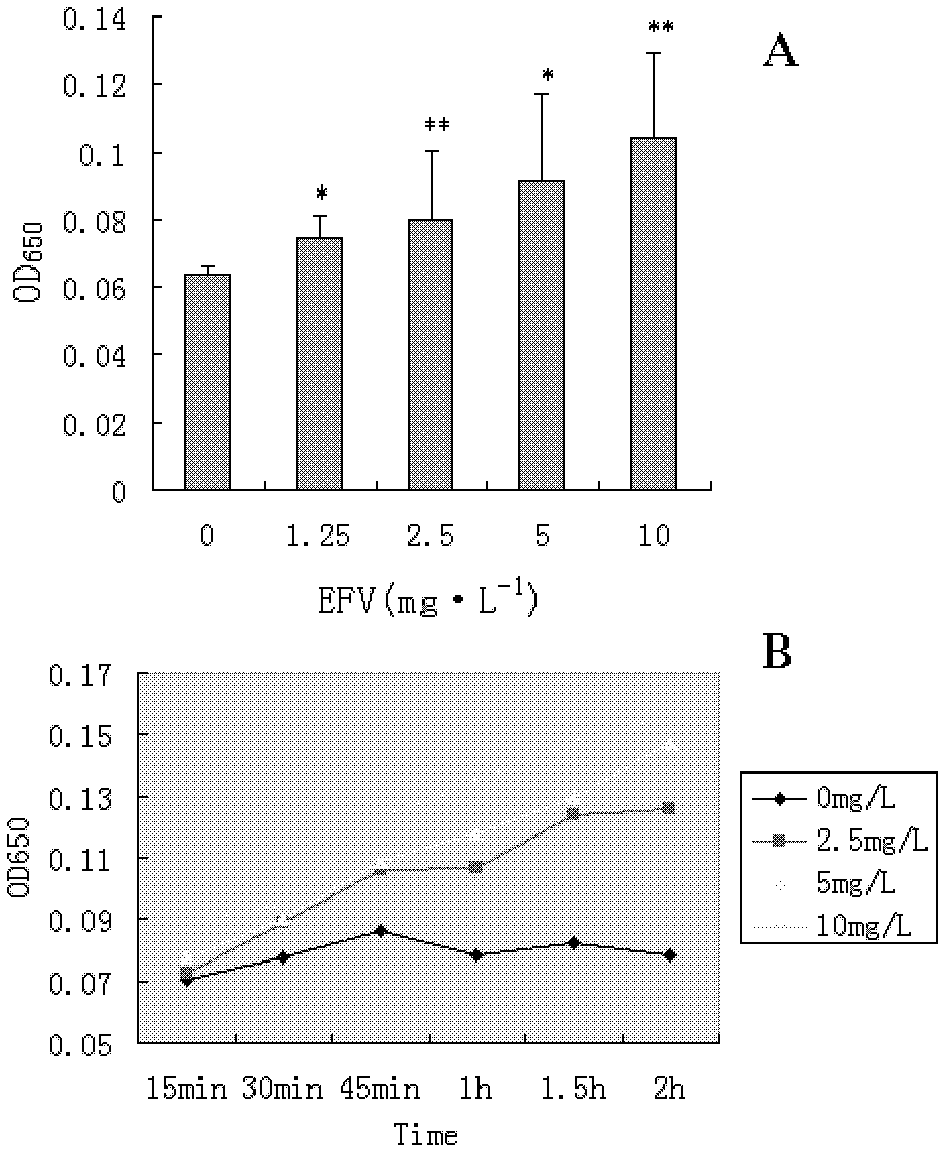 Efavirenz hepatotoxicity molecular marker and application thereof