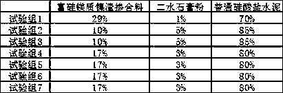 Silicon-rich magnesium nickel-slag anti-freezing cement and preparation method thereof