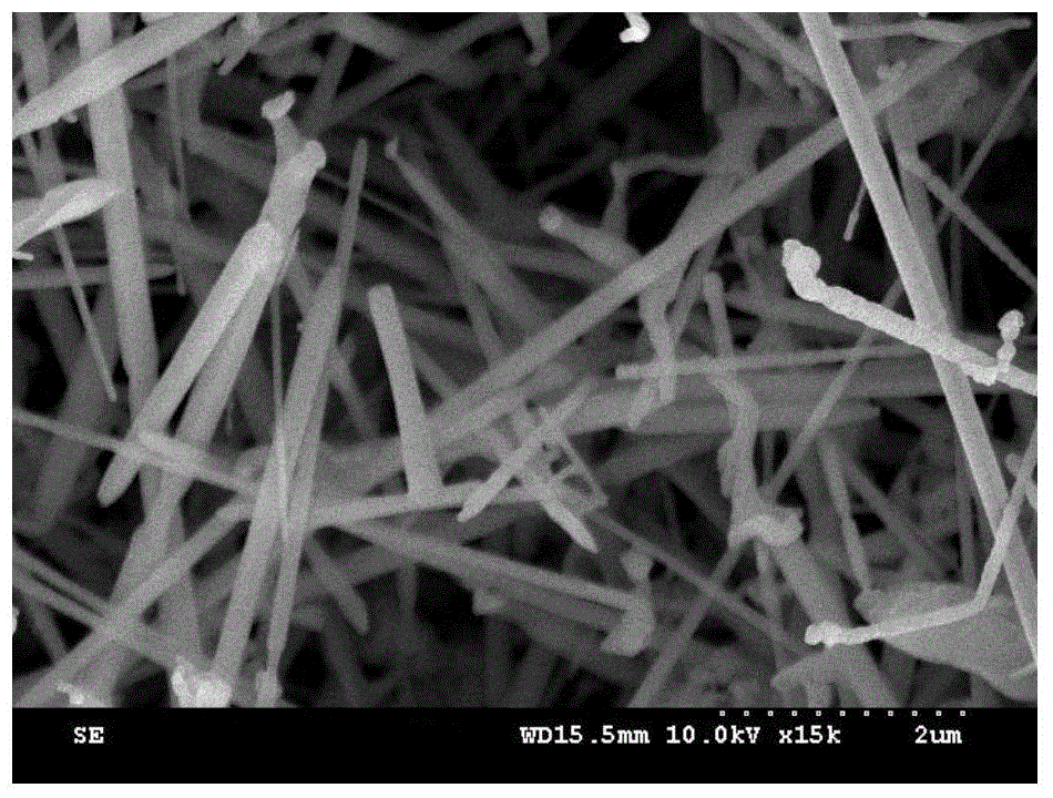 Preparation method of nano magnesium hydroxide material