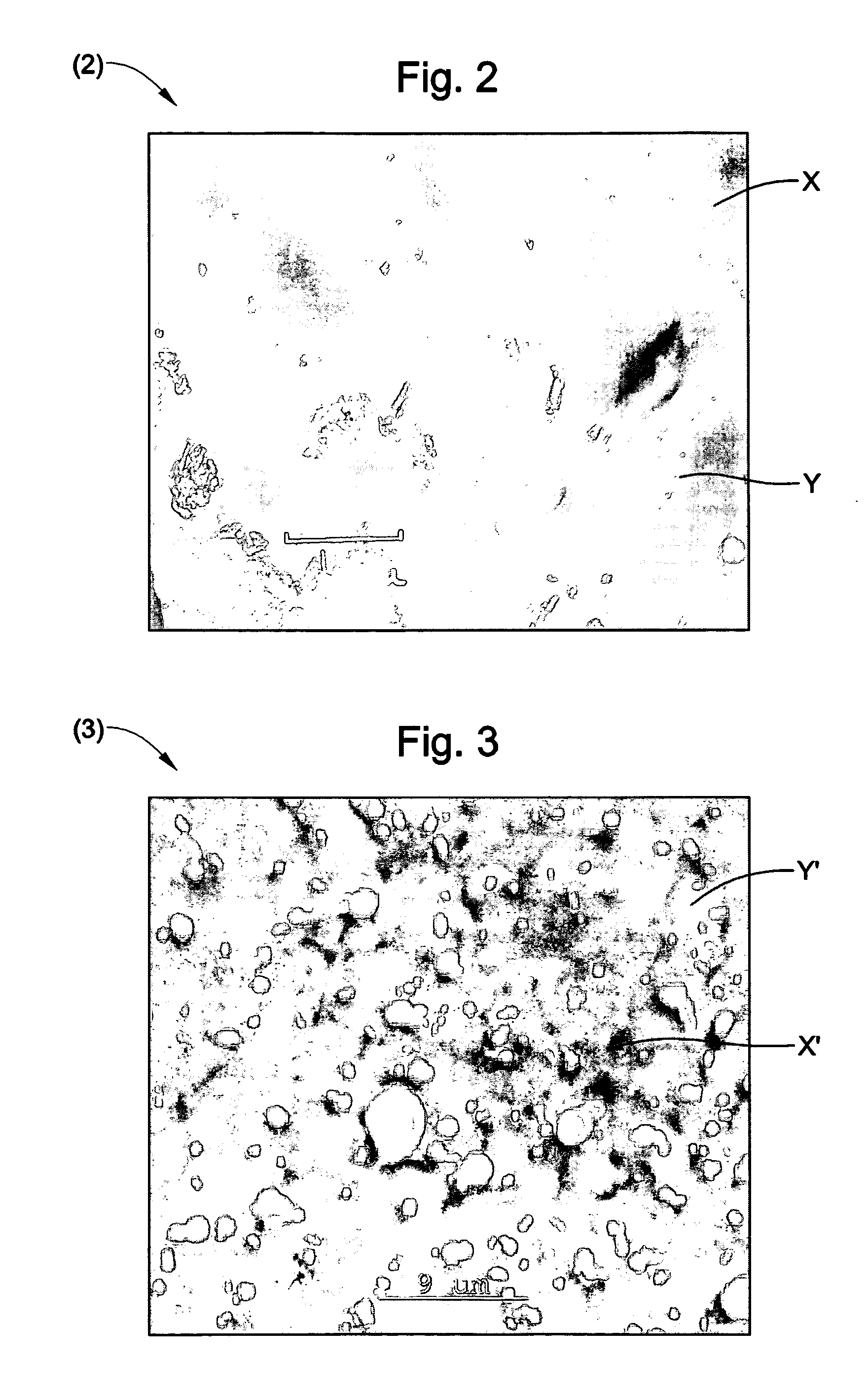 Dynamic vulcanization process for preparing thermoplastic elastomers