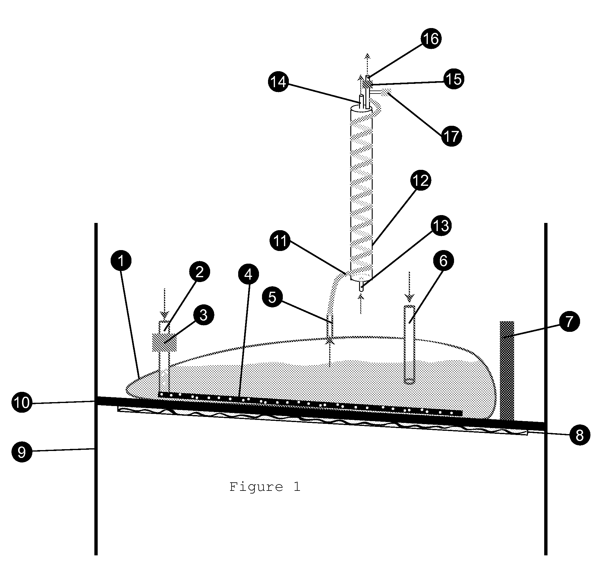 Bioreactor Exhaust