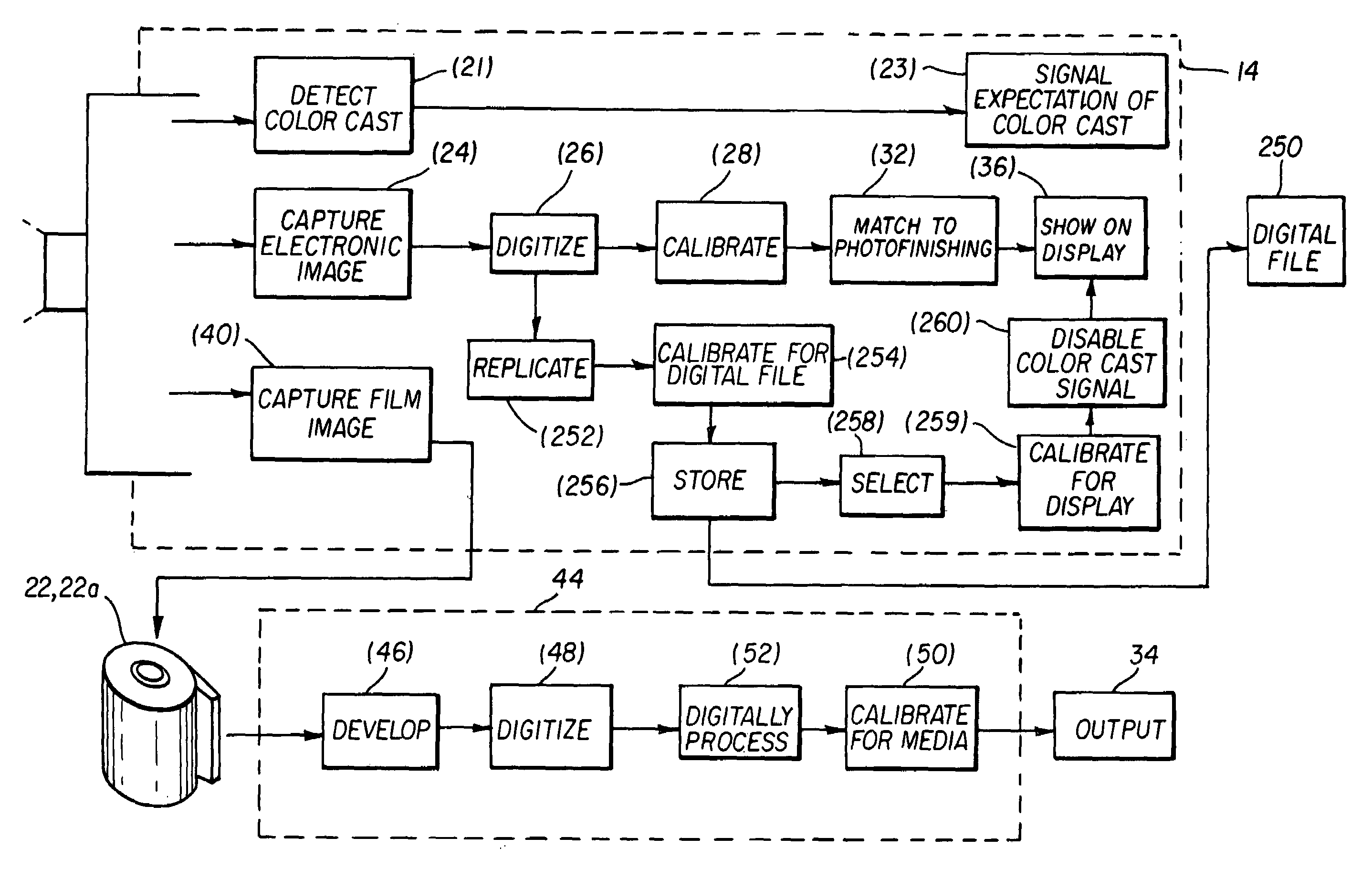 Camera having verification display with viewer adaptation compensation for reference illuminants and method