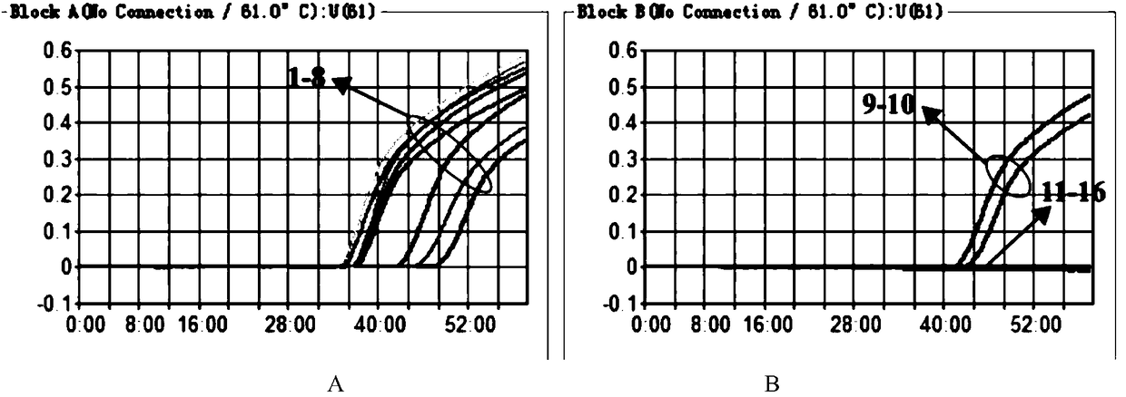 Sika deer identifying primer and method and application