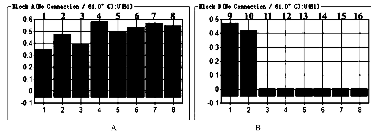 Sika deer identifying primer and method and application