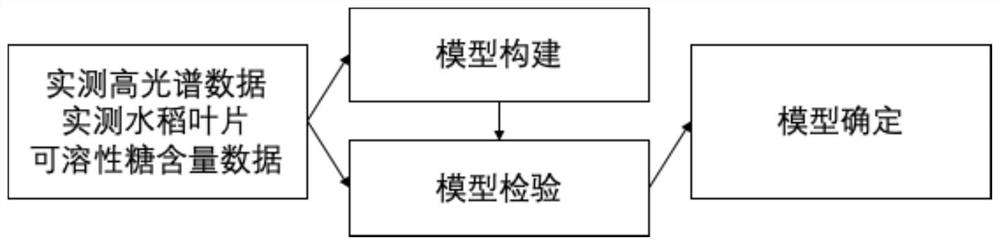 Rice leaf soluble sugar content remote sensing inversion model and method based on fixed-radius nearest neighbor regression algorithm