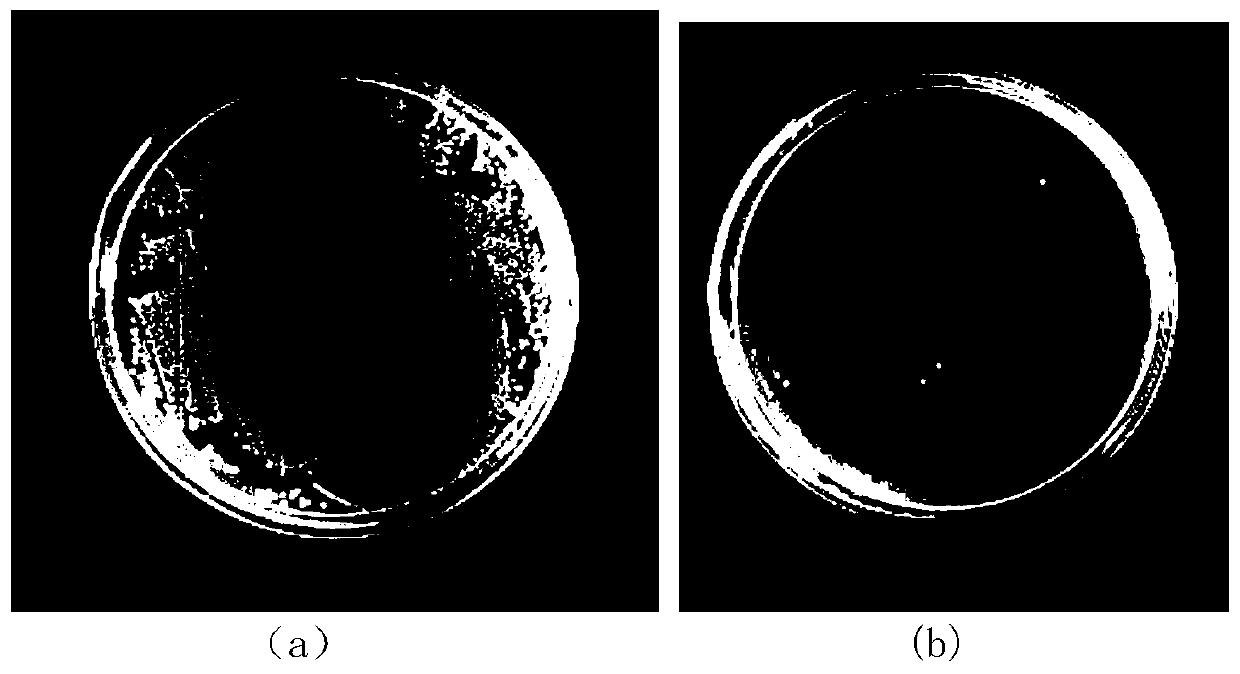 A kind of martensitic antibacterial stainless steel