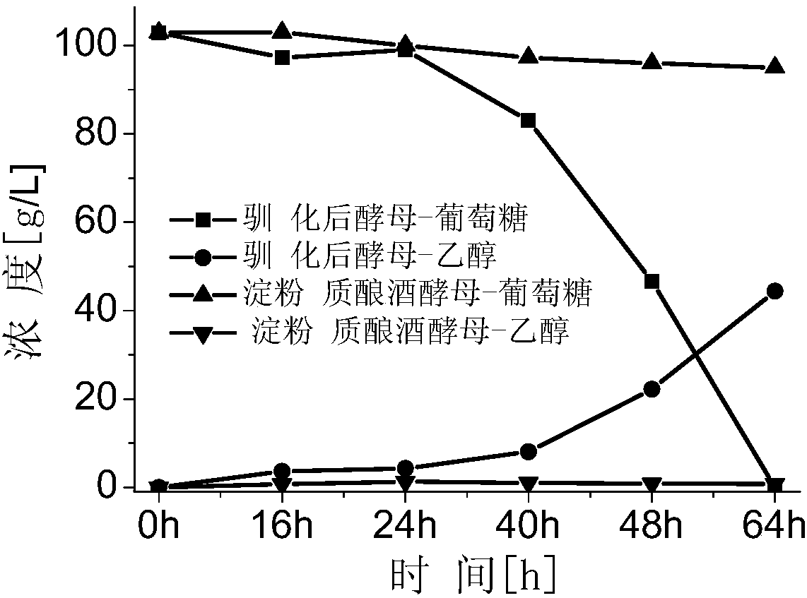 Detoxification-free ethanol fermentation method of non-enzymatic cellulose hydrolyzed saccharification solution