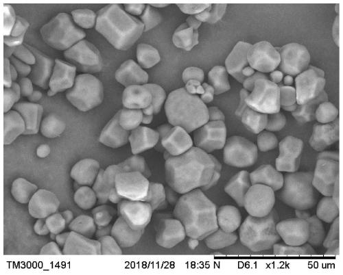 Preparation method and application of urea modified starch