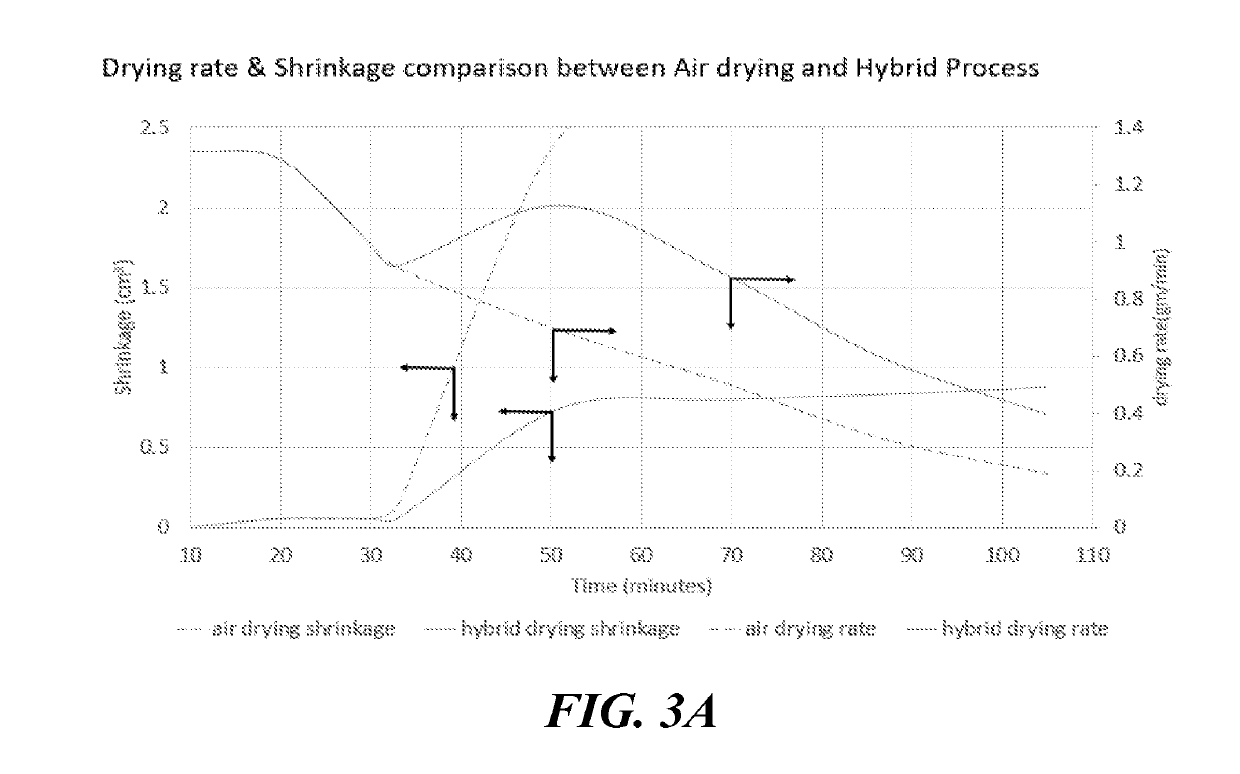 Process for improving shelf-life of fresh cut vegetables and food products produced thereby