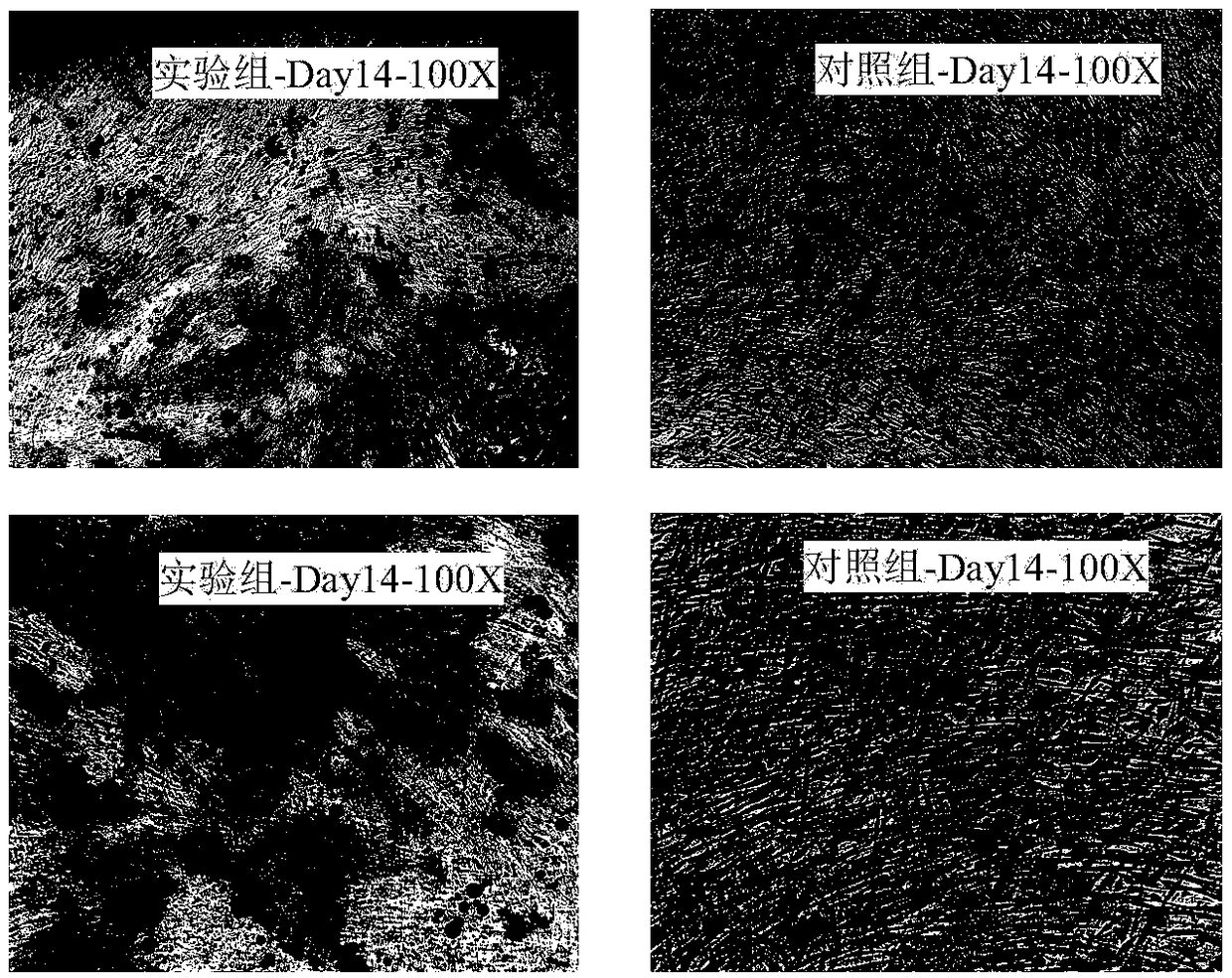 Preparation method of freeze-dried powder containing stem-cell active factors