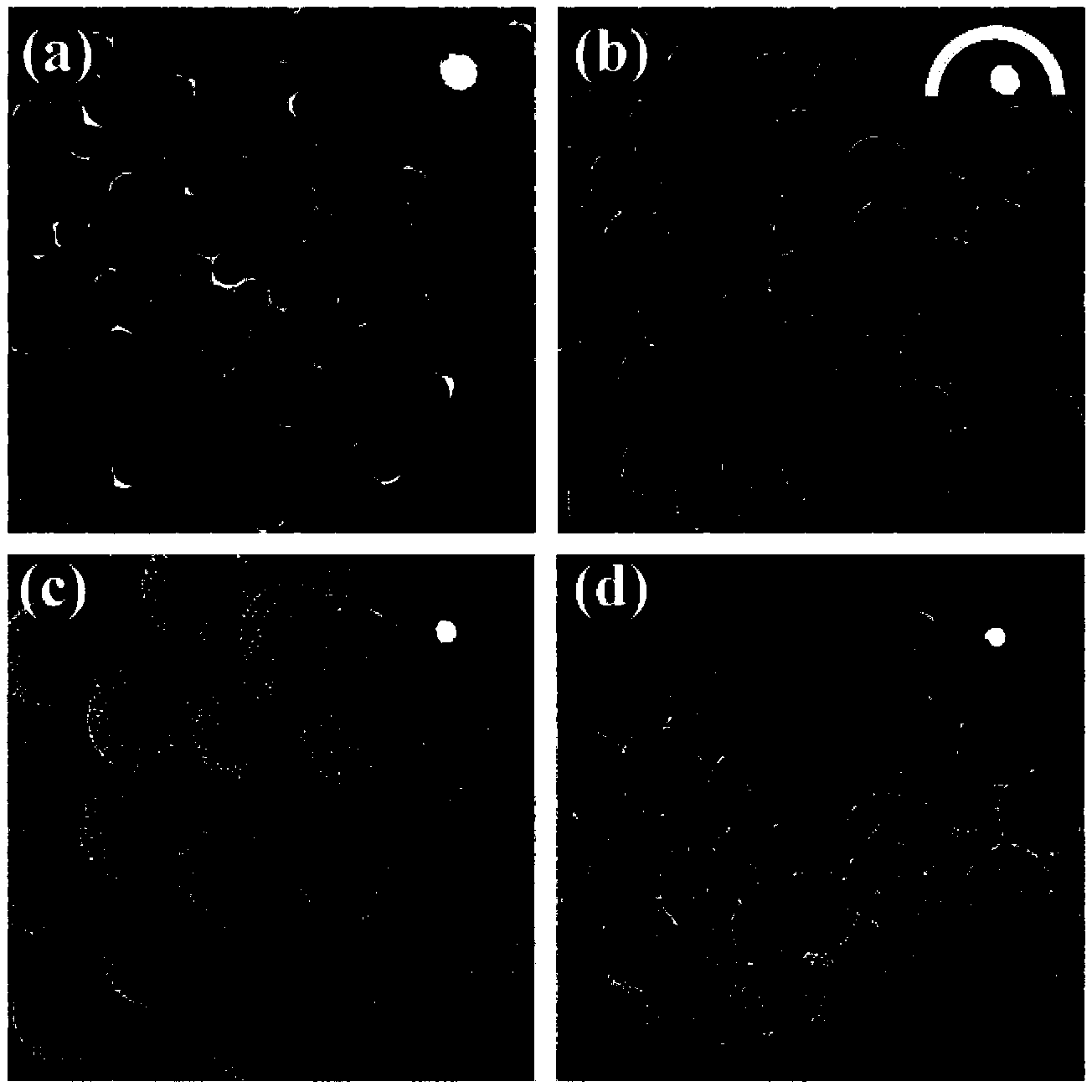 Novel multifunctional nano diagnosis and treatment agent based on tumor multi-mode co-therapy and preparation method thereof