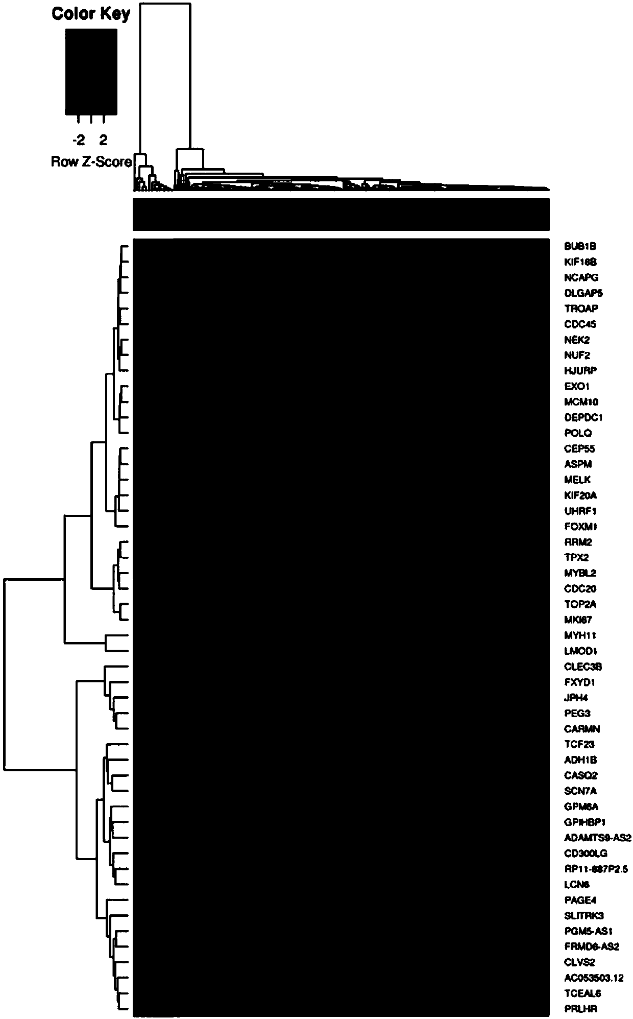 Cervical cancer biomarker and test kit thereof