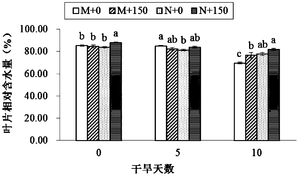 Application of Ethephon in Improving Germination Potency and Drought Tolerance of Poa annua