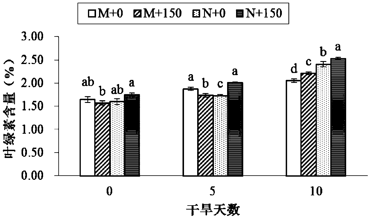 Application of Ethephon in Improving Germination Potency and Drought Tolerance of Poa annua