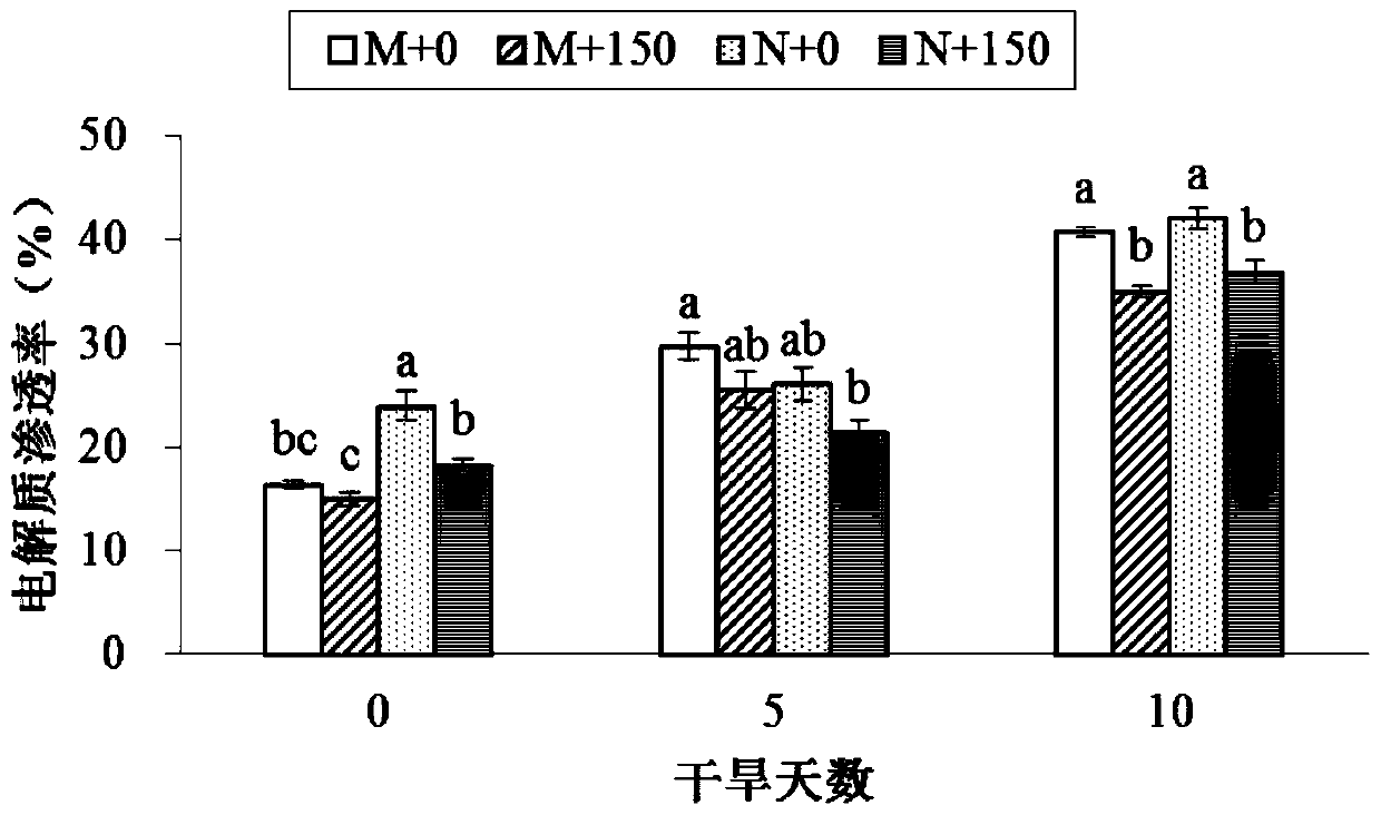 Application of Ethephon in Improving Germination Potency and Drought Tolerance of Poa annua