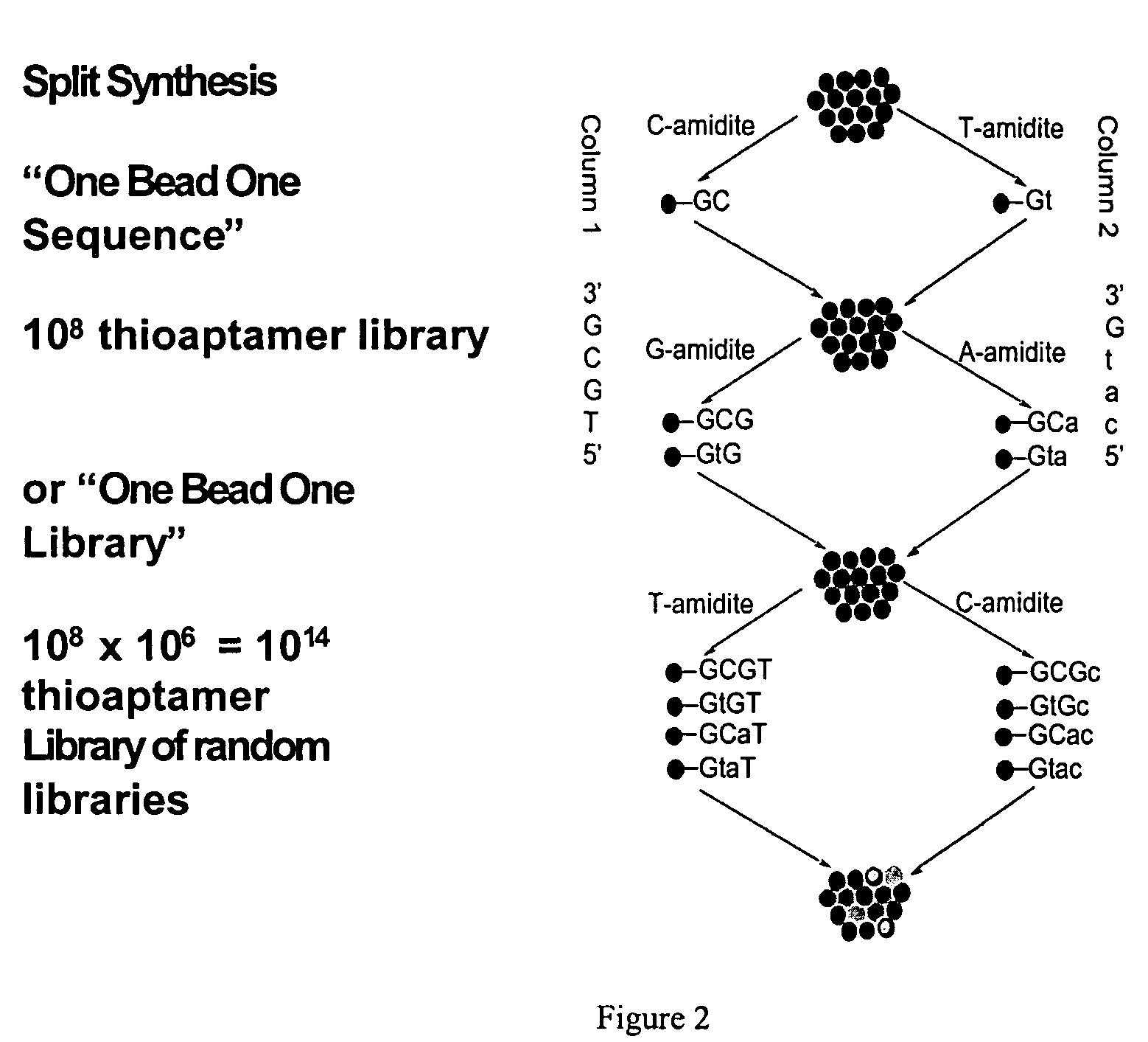 Bead bound combinatorial oligonucleoside phosphorothioate and phosphorodithioate aptamer libraries