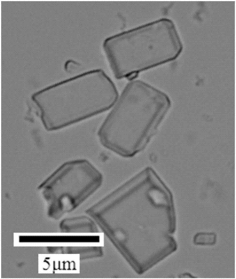 Hexanitrohexaazaisowurtzitane and 1-methyl-3, 4, 5-trinitro pyrazole eutectic explosive and rapid preparation method thereof