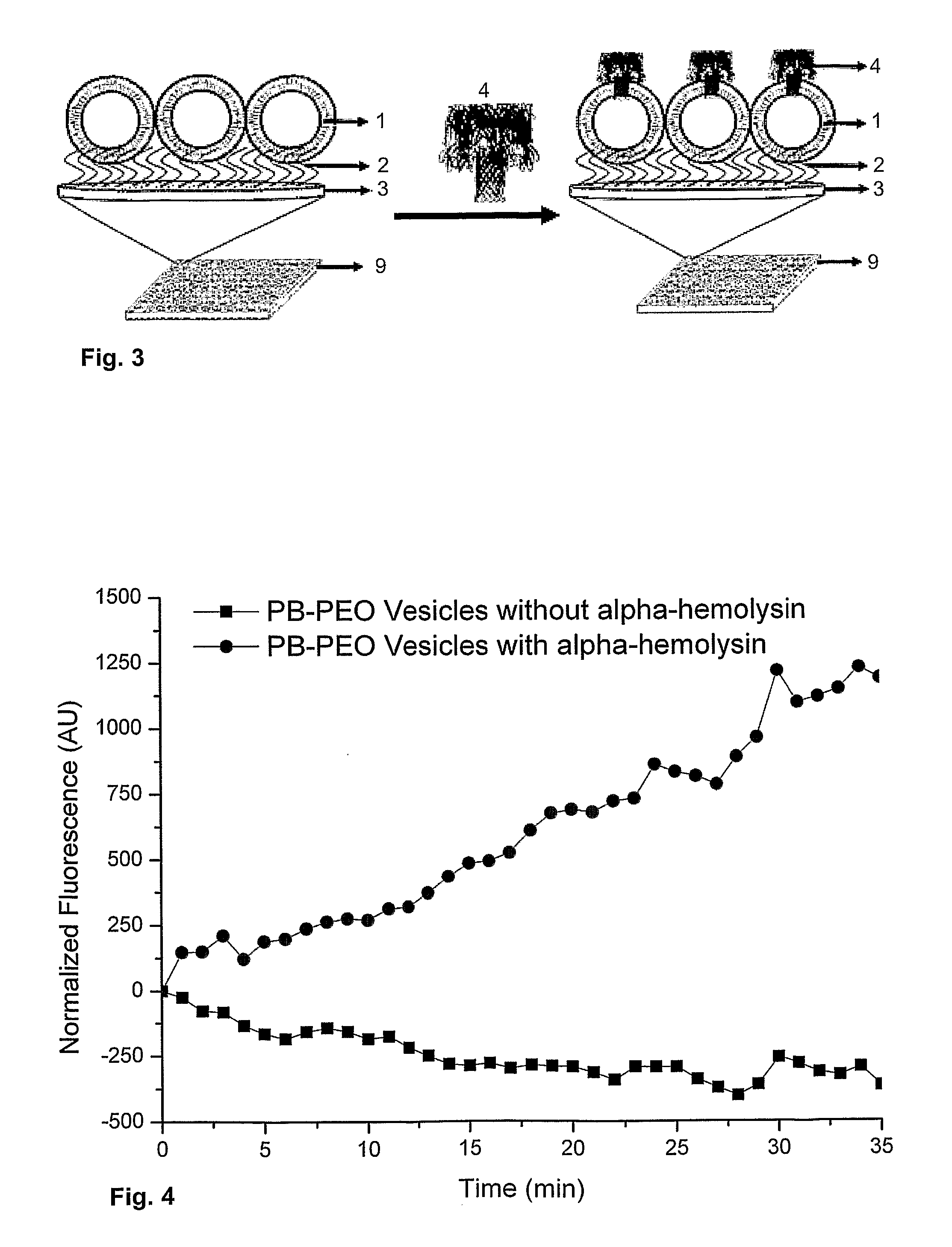 Vesicular system and uses thereof