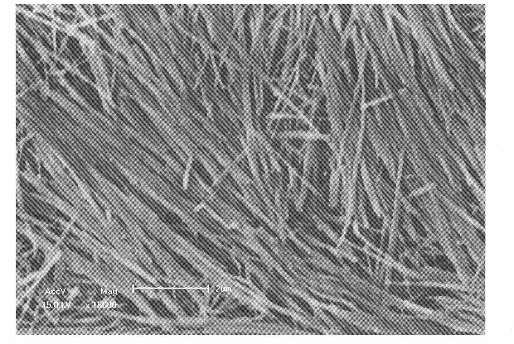 Paper dye sensitization solar battery photo-anode and preparation method thereof