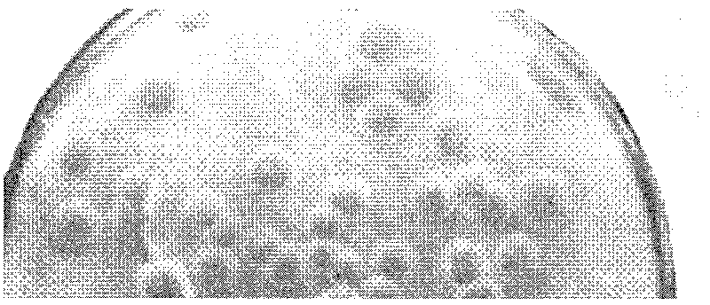 Method of co-fermenting kitchen waste with mixed bacteria for producing fuel ethanol