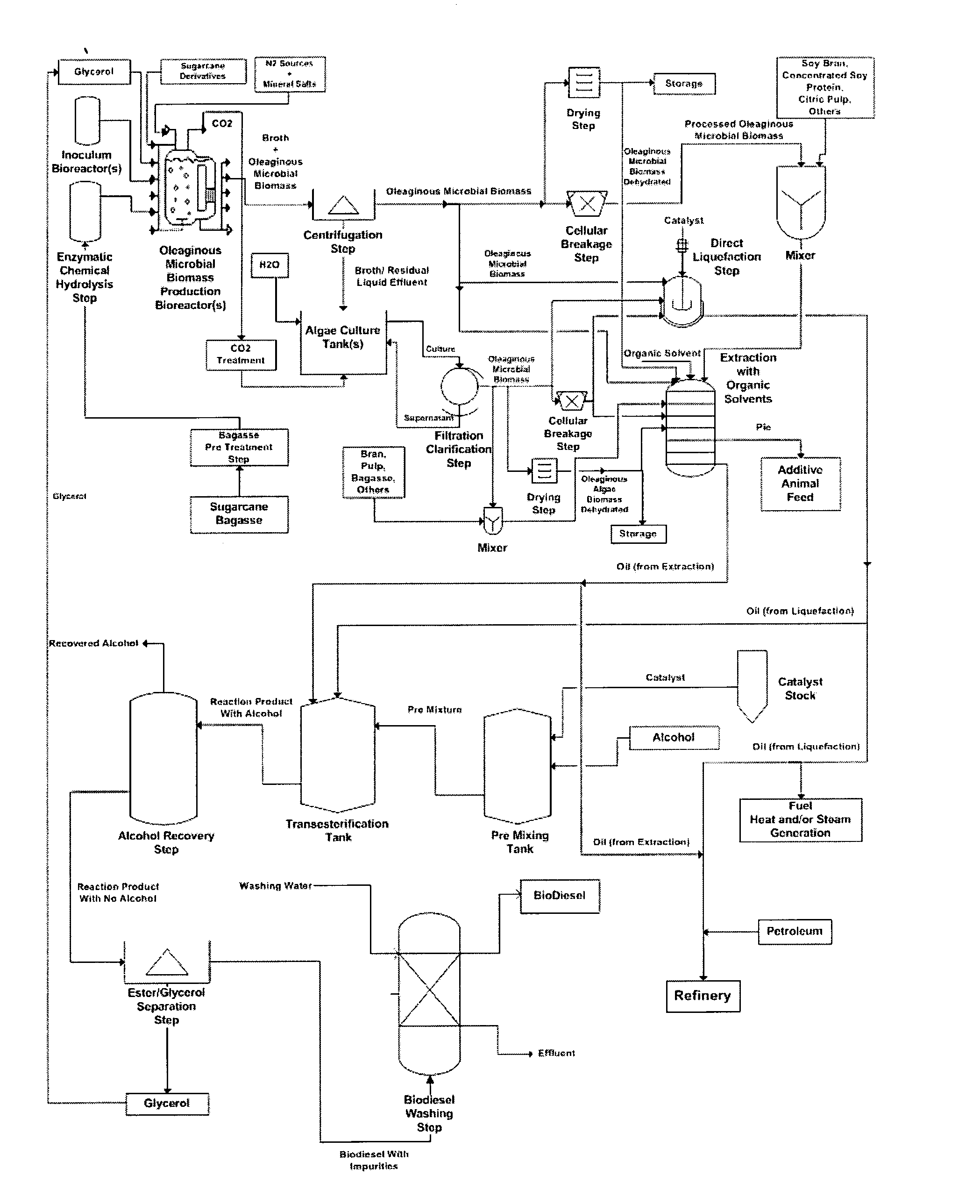 Process to produce biodiesel and/or fuel oil