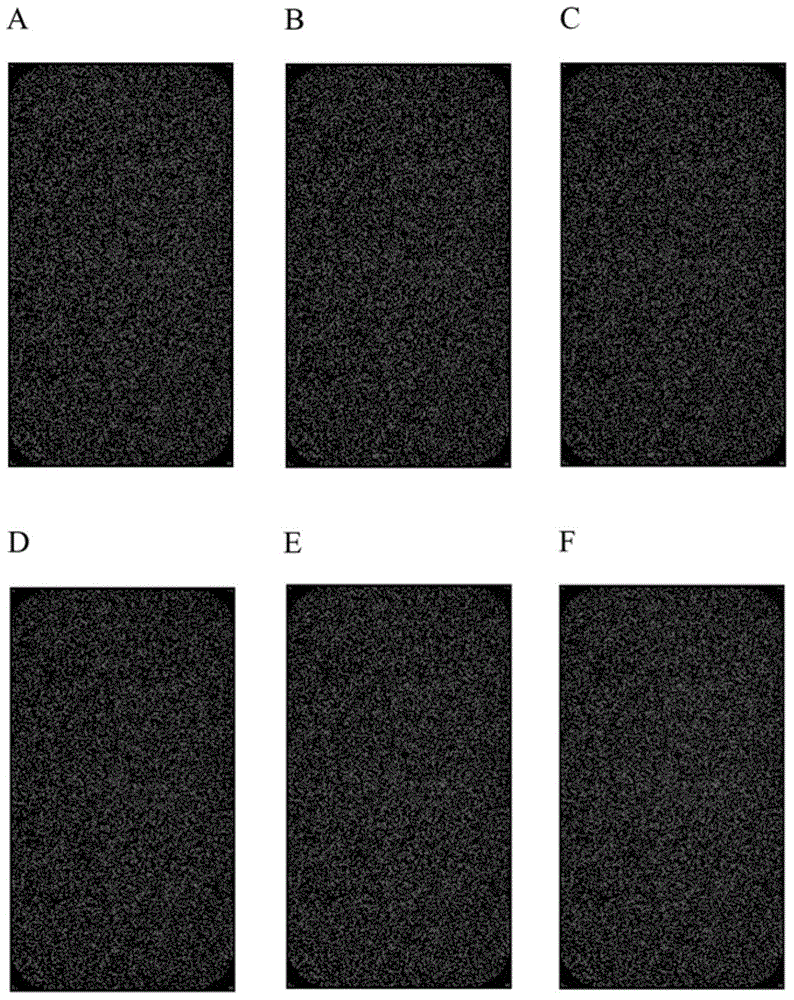 Screening method for lncRNA relevant to myocardial ischemia reperfusion and application