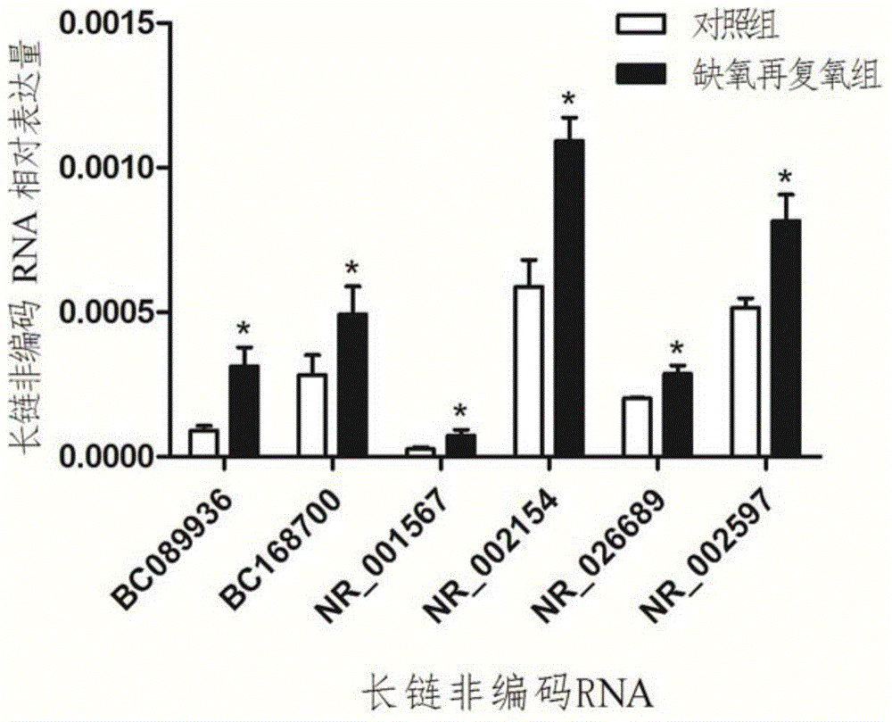 Screening method for lncRNA relevant to myocardial ischemia reperfusion and application