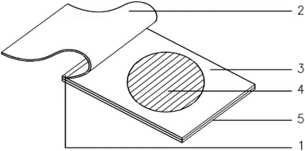 Total bacterial count testing slip and preparation method and application thereof