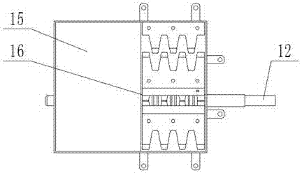 Pseudo-ginseng seed and seedling separation device and method