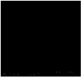 Enterococcus faecium and preparation method thereof