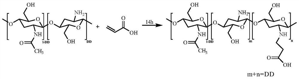 High-strength anti-swelling chitosan-based physical hydrogel and preparation method thereof