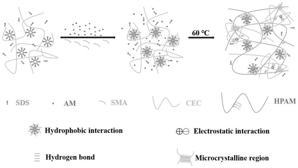 High-strength anti-swelling chitosan-based physical hydrogel and preparation method thereof