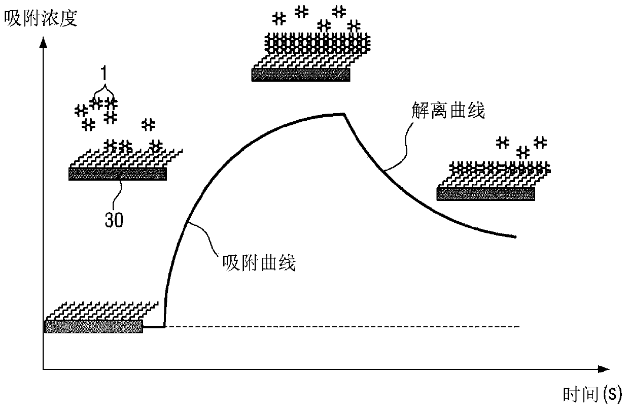 Liquid immersion micro-channel measurement device and measurement method which are based on trapezoidal incident structure prism incident-type silicon